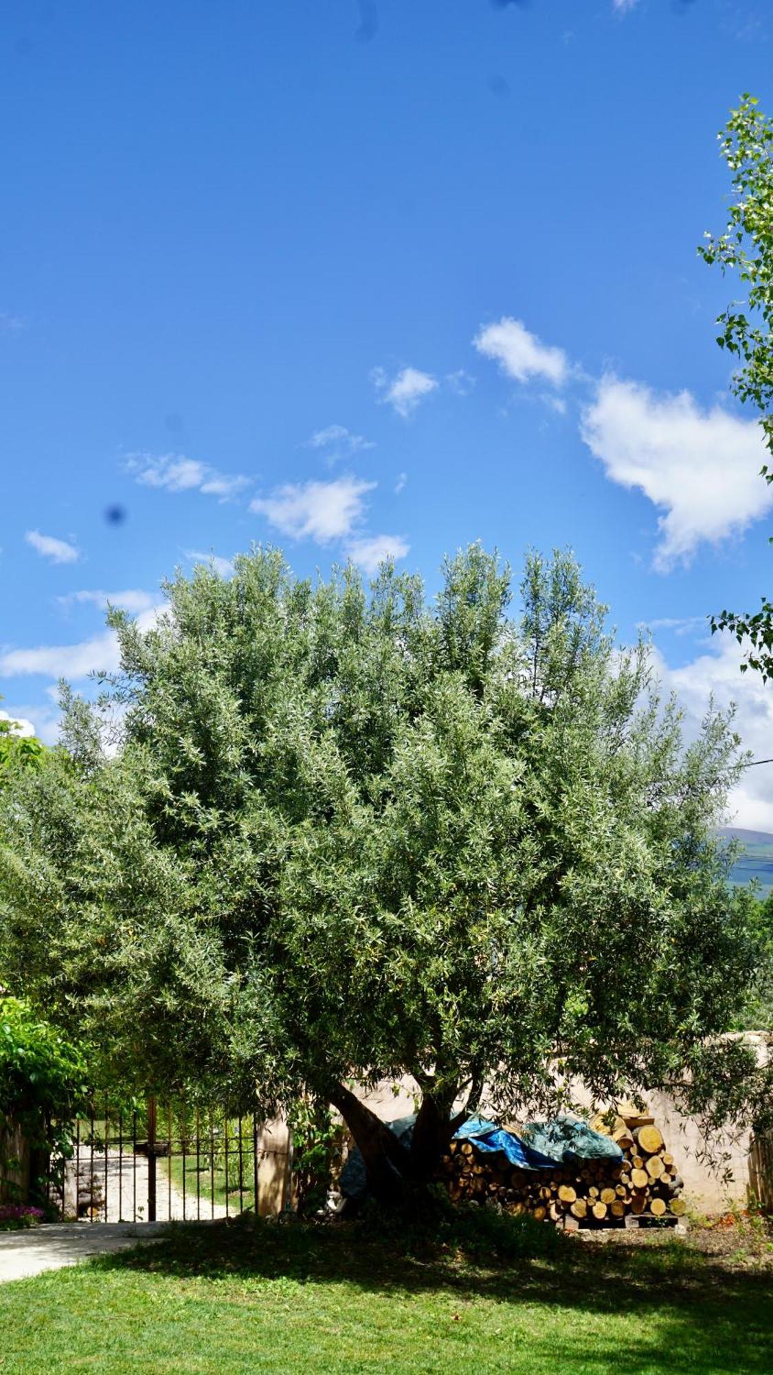 La Belle Histoire Gite Luberon Bedoin Ngoại thất bức ảnh