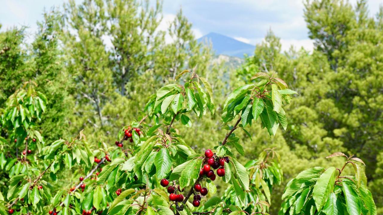 La Belle Histoire Gite Luberon Bedoin Ngoại thất bức ảnh